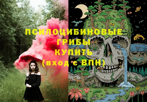 мяу мяу мука Арсеньев